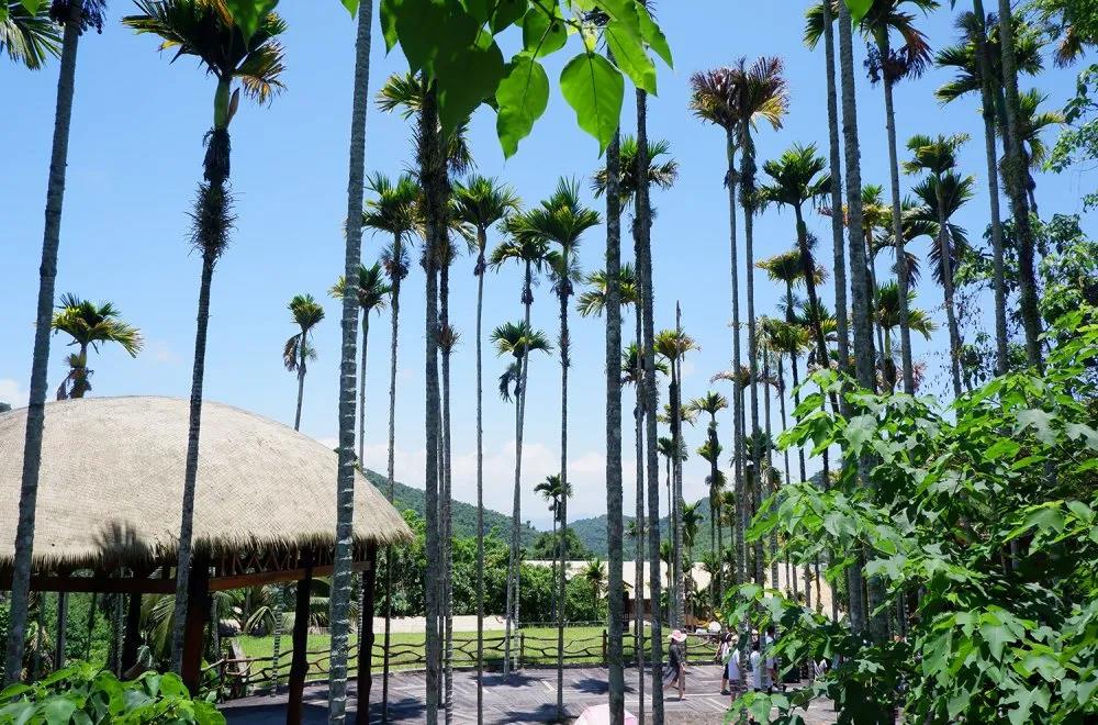 口袋德州官网控股集团