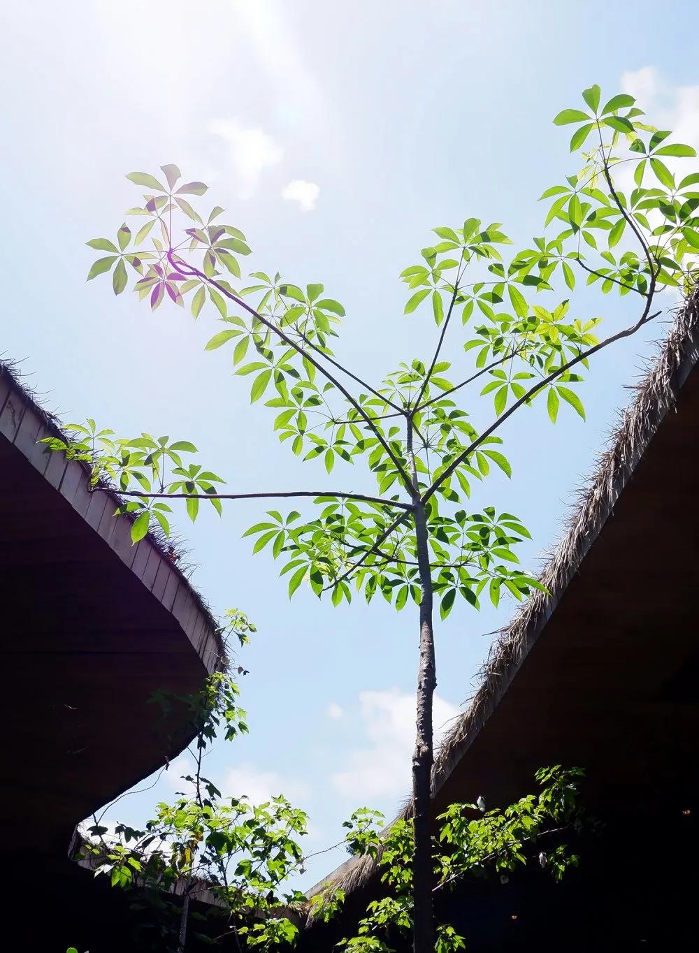 口袋新乡官网-口袋新乡APP下载